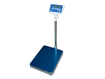 KW - PLATFORM SCALE